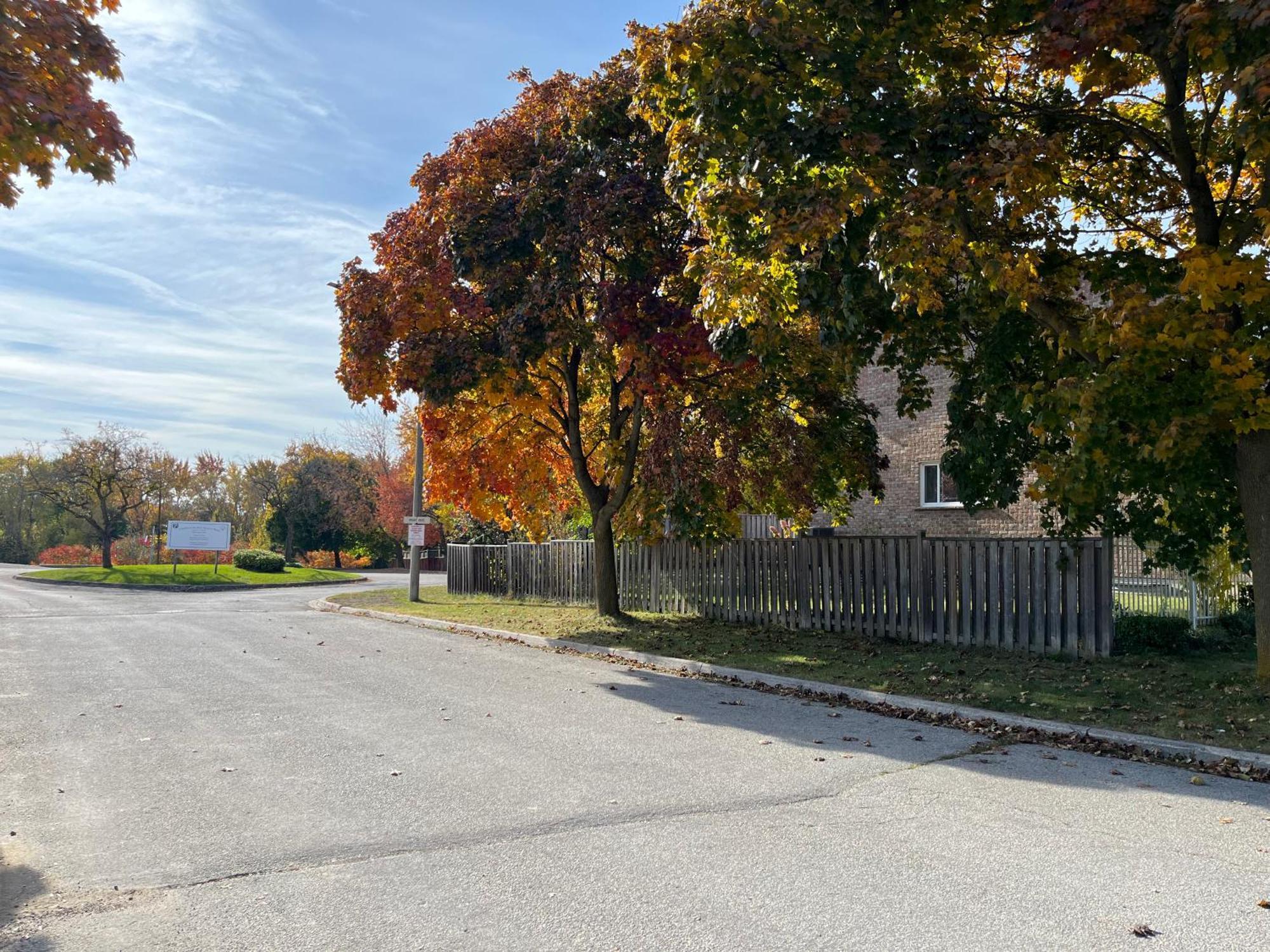 מיסיסאוגה Comfort Rooms Near Toronto Airport מראה חיצוני תמונה